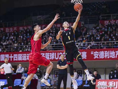 盲盒16级最新爆料,潮流玩具界的神秘面纱